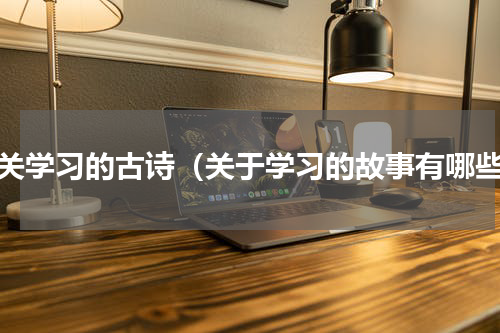 有关学习的古诗（关于学习的故事有哪些）