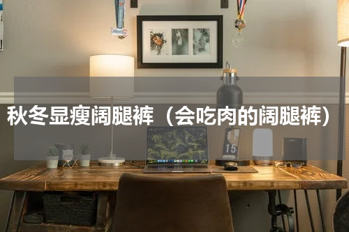 秋冬显瘦阔腿裤（会吃肉的阔腿裤）