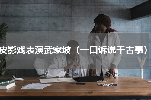 皮影戏表演武家坡（一口诉说千古事）