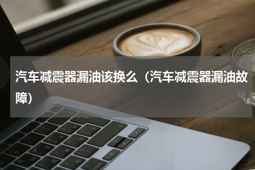 汽车减震器漏油该换么（汽车减震器漏油故障）