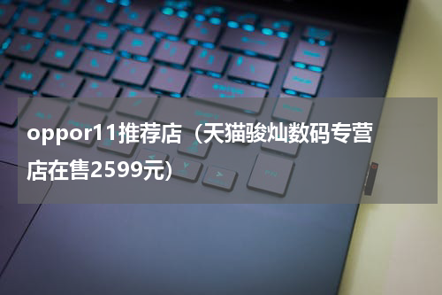 oppor11推荐店（天猫骏灿数码专营店在售2599元）