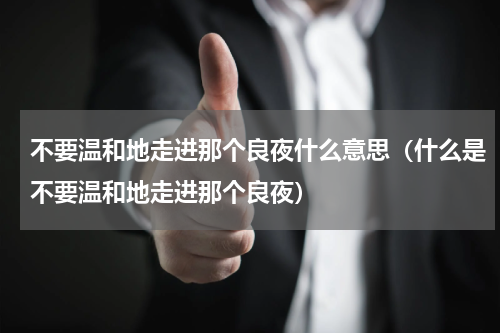 不要温和地走进那个良夜什么意思（什么是不要温和地走进那个良夜）