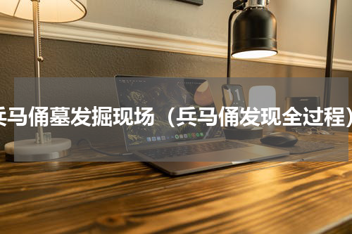 兵马俑墓发掘现场（兵马俑发现全过程）