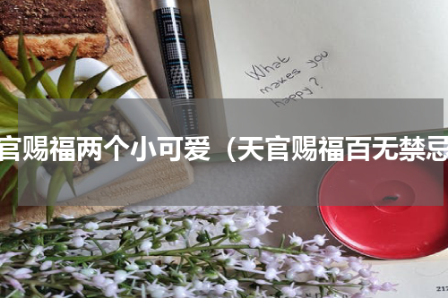 天官赐福两个小可爱（天官赐福百无禁忌）