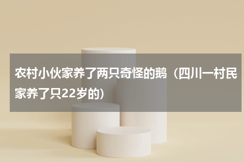 农村小伙家养了两只奇怪的鹅（四川一村民家养了只22岁的）