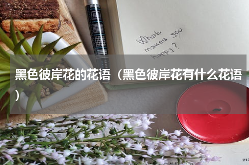 黑色彼岸花的花语（黑色彼岸花有什么花语）