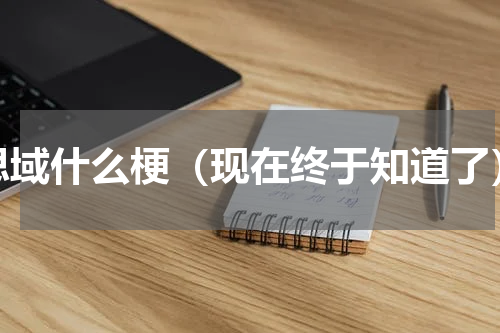 思域什么梗（现在终于知道了）