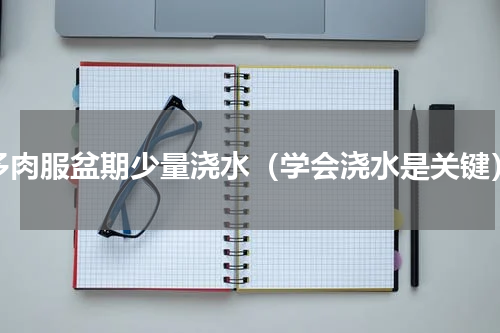 多肉服盆期少量浇水（学会浇水是关键）