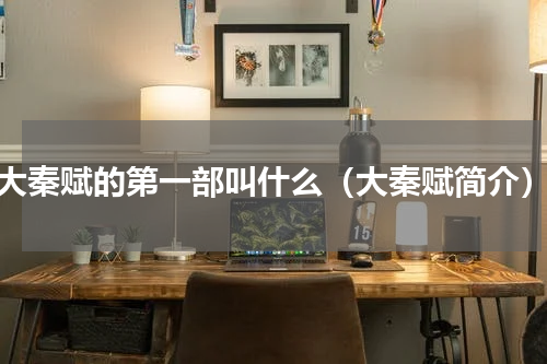 大秦赋的第一部叫什么（大秦赋简介）