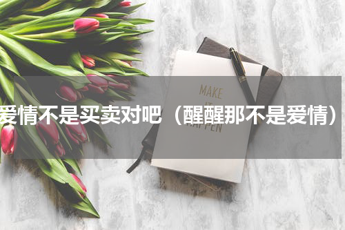 爱情不是买卖对吧（醒醒那不是爱情）