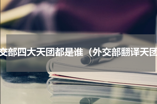 外交部四大天团都是谁（外交部翻译天团）