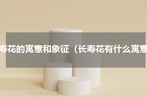 长寿花的寓意和象征（长寿花有什么寓意）
