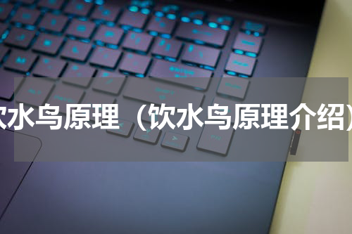 饮水鸟原理（饮水鸟原理介绍）