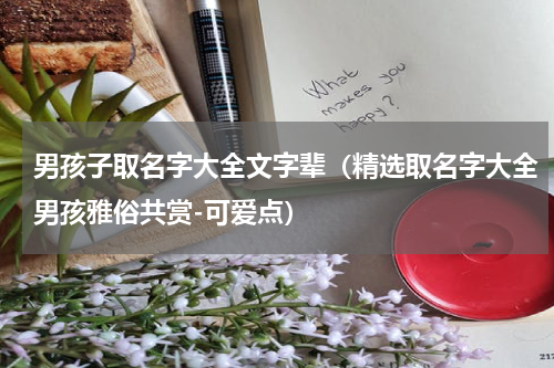 男孩子取名字大全文字辈（精选取名字大全男孩雅俗共赏-可爱点）