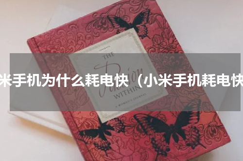 小米手机为什么耗电快（小米手机耗电快）