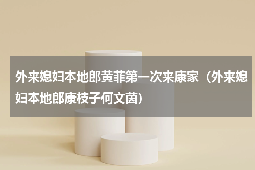 外来媳妇本地郎黄菲第一次来康家（外来媳妇本地郎康枝子何文茵）