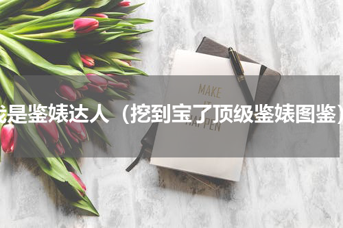 我是鉴婊达人（挖到宝了顶级鉴婊图鉴）