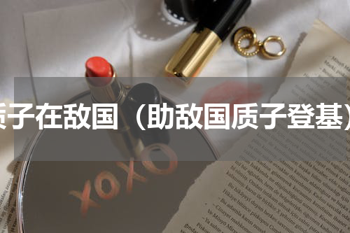 质子在敌国（助敌国质子登基）