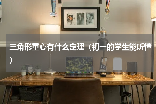 三角形重心有什么定理（初一的学生能听懂）