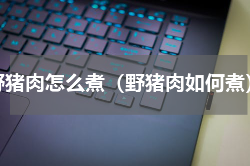 野猪肉怎么煮（野猪肉如何煮）