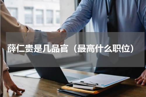 薛仁贵是几品官（最高什么职位）