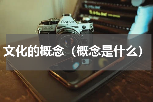 文化的概念（概念是什么）