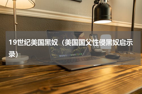 19世纪美国黑奴（美国国父性侵黑奴启示录）