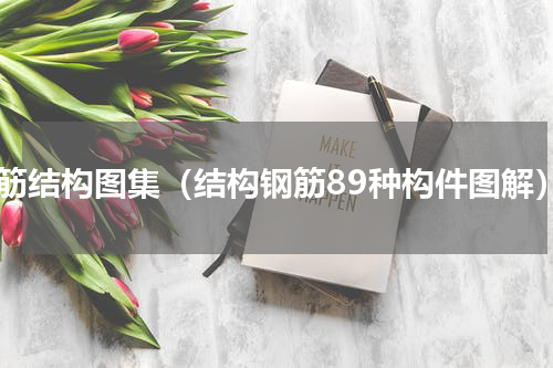 钢筋结构图集（结构钢筋89种构件图解）