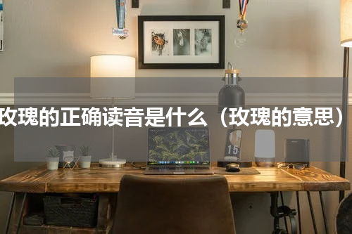 玫瑰的正确读音是什么（玫瑰的意思）