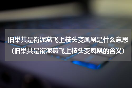 旧巢共是衔泥燕飞上枝头变凤凰是什么意思（旧巢共是衔泥燕飞上枝头变凤凰的含义）