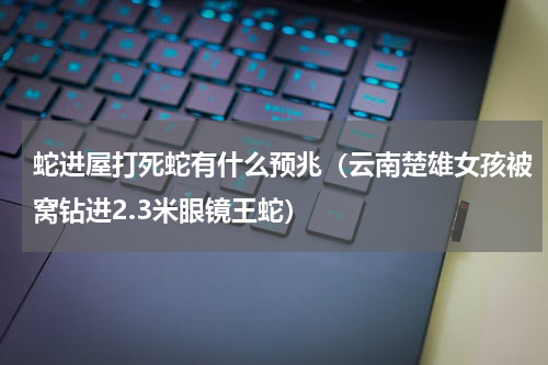 蛇进屋打死蛇有什么预兆（云南楚雄女孩被窝钻进2.3米眼镜王蛇）