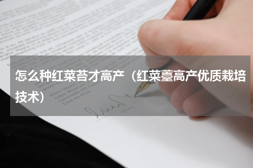 怎么种红菜苔才高产（红菜薹高产优质栽培技术）