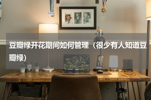 豆瓣绿开花期间如何管理（很少有人知道豆瓣绿）