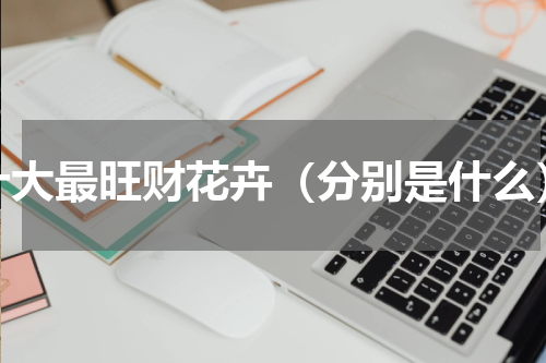 十大最旺财花卉（分别是什么）
