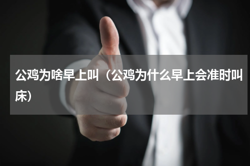 公鸡为啥早上叫（公鸡为什么早上会准时叫床）