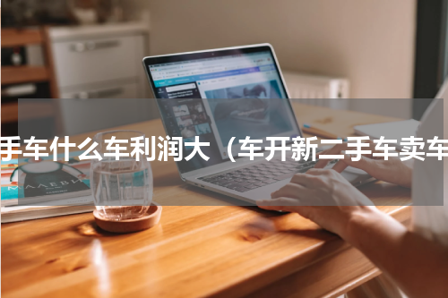 二手车什么车利润大（车开新二手车卖车）