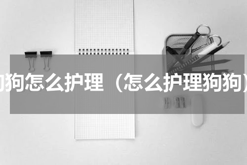 狗狗怎么护理（怎么护理狗狗）
