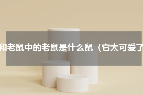 猫和老鼠中的老鼠是什么鼠（它太可爱了）