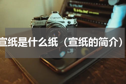 宣纸是什么纸（宣纸的简介）