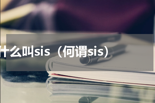 什么叫sis（何谓sis）