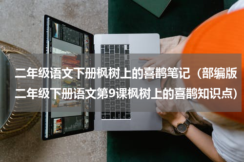 二年级语文下册枫树上的喜鹊笔记（部编版二年级下册语文第9课枫树上的喜鹊知识点）