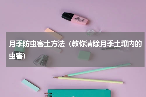 月季防虫害土方法（教你清除月季土壤内的虫害）