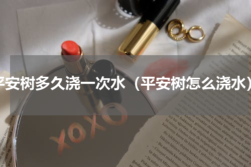 平安树多久浇一次水（平安树怎么浇水）