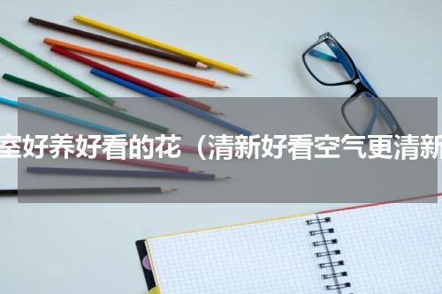 卧室好养好看的花（清新好看空气更清新）