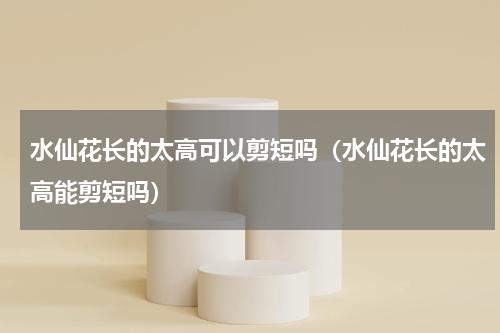 水仙花长的太高可以剪短吗（水仙花长的太高能剪短吗）