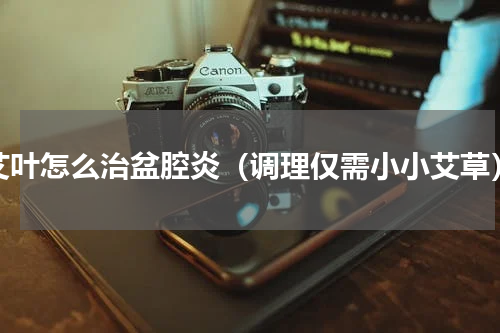 艾叶怎么治盆腔炎（调理仅需小小艾草）