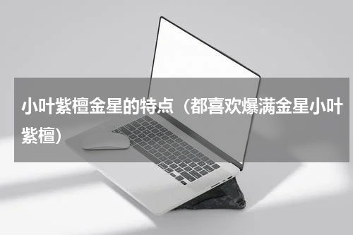 小叶紫檀金星的特点（都喜欢爆满金星小叶紫檀）