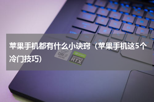 苹果手机都有什么小诀窍（苹果手机这5个冷门技巧）