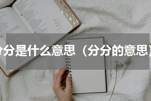 分分是什么意思（分分的意思）