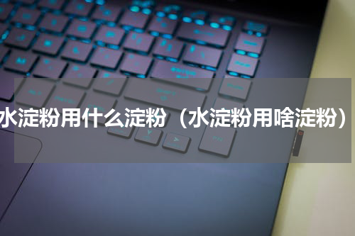 水淀粉用什么淀粉（水淀粉用啥淀粉）